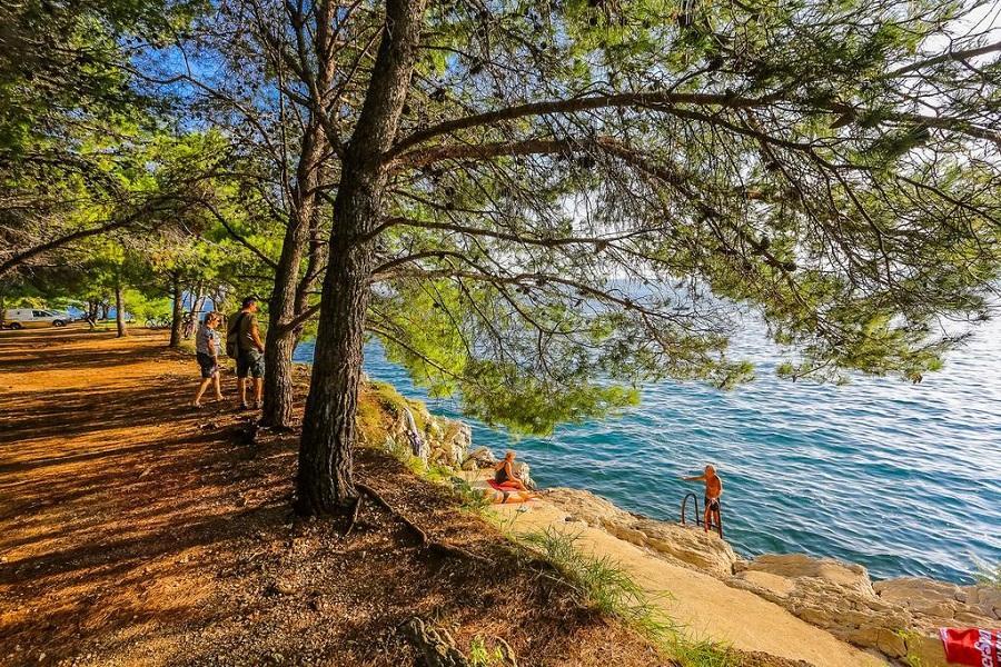 Clementa * Zadar