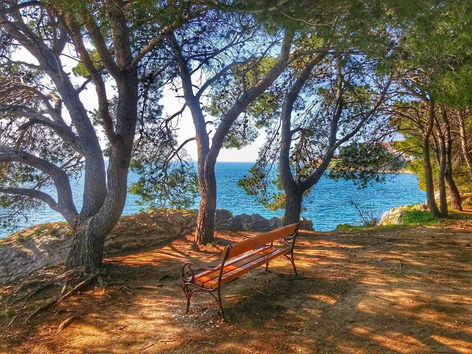 Clementa * Zadar